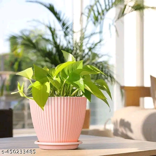 Flower Pots Indoor & Outdoor Planters with Drainage Hole and Tray Saucer for Home Planters, Terrace, Garden Etc | Plastic